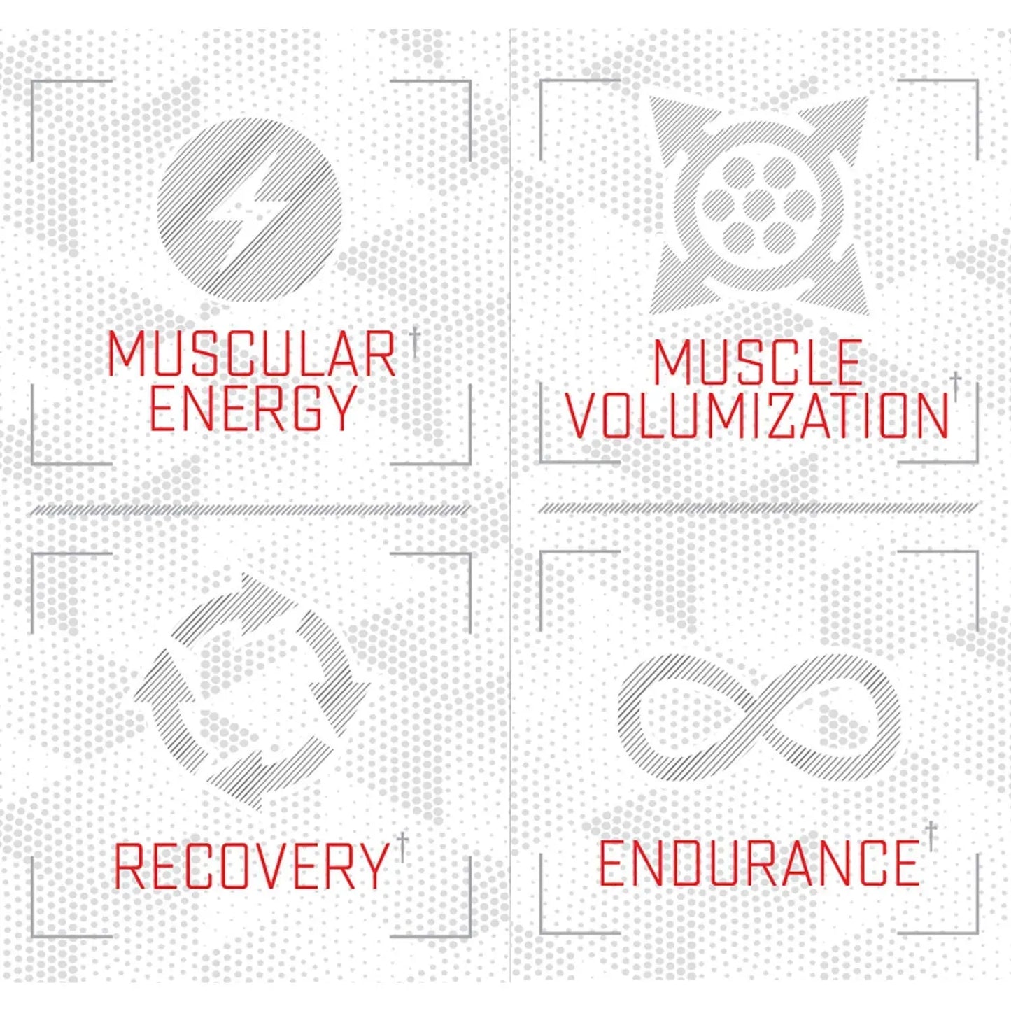 Purus Labs Foundation Series Citrulline Malate Powder | Active Amino Acid L-Citrulline Purus Labs