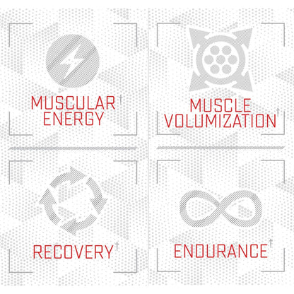 Purus Labs Foundation Series Citrulline Malate Powder | Active Amino Acid L-Citrulline Purus Labs