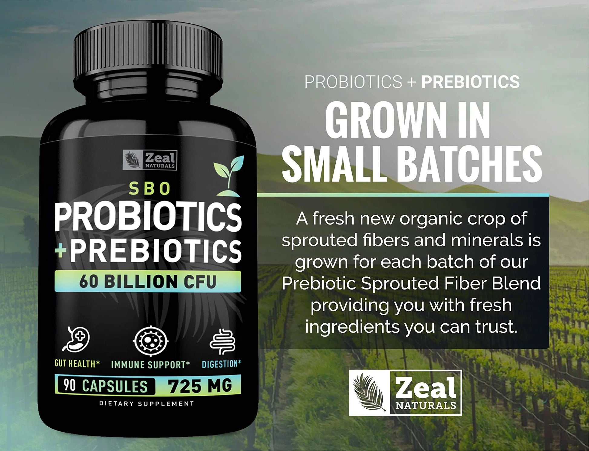 Probiotics and Prebiotics + SBO Probiotics (60 Billion CFU | 90 Capsules) Acidophilus Probiotic w. Saccharomyces Boulardii, Bifidobacterium + Spore Probiotic & Organic Sprouted Prebiotic Fiber Blend Zeal NaturalsBuy Supplements Australia