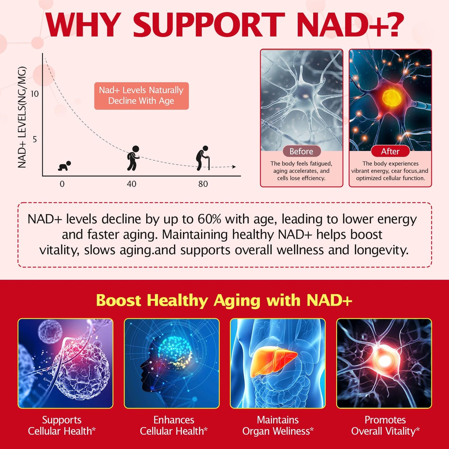 NAD+ Supplement 1000mg Liquid Packets 21pcs, Nicotinamide Riboside Resveratrol, NAD Supplements for Women Men, Anti-Aging, Repairs Cells, Support Natural Vitality NyloriaineBuy Supplements Australia