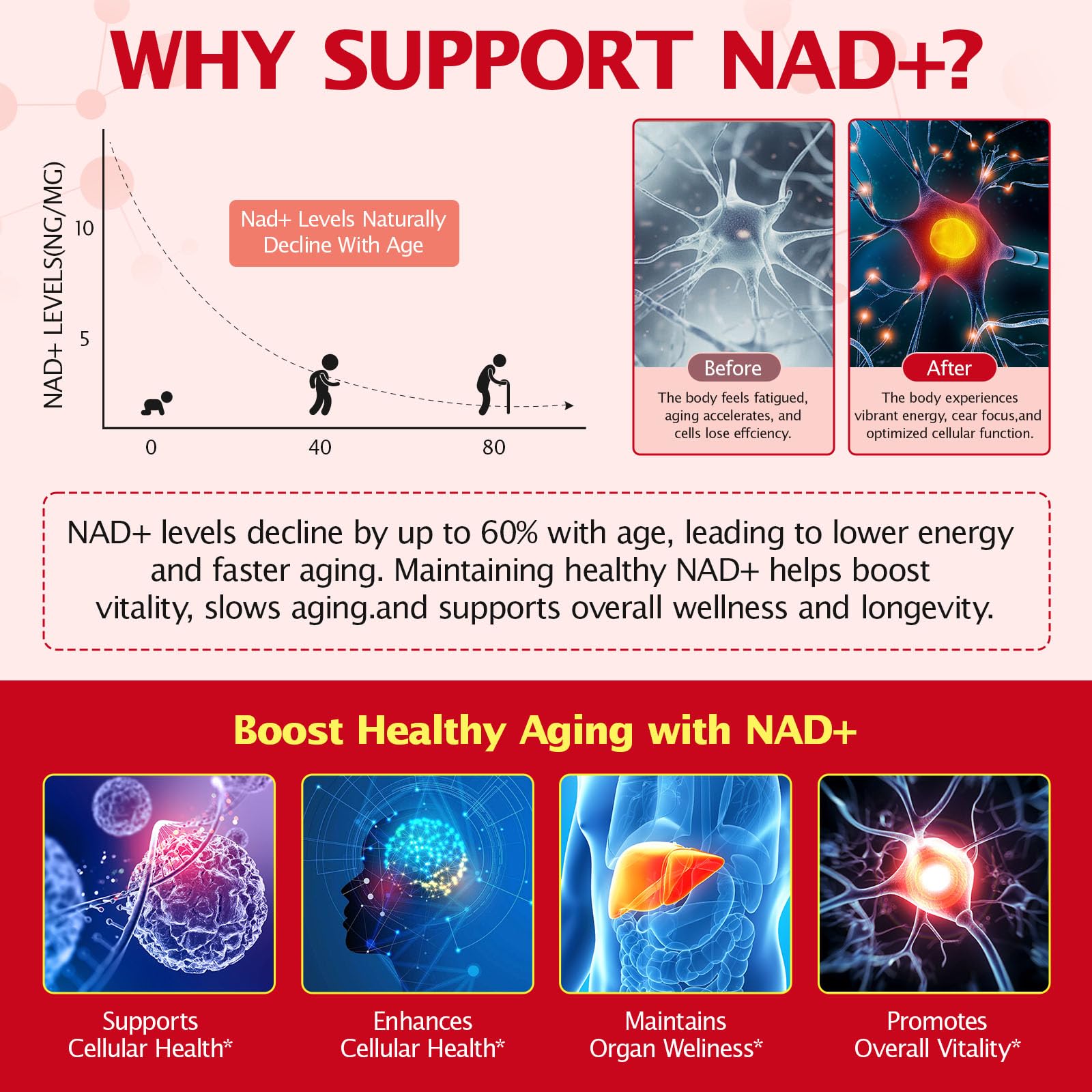 bnHUlMXw NAD Liquid Supplement,1000mg Premium Nicotinamide Riboside & Resveratrol,NAD+ Berry Flavor Drink Mix for Skin Aging Support,Boosts Cellular Energy – NAD Supplements for Men & Women,30 Packs bnHUlMXwBuy Supplements Australia