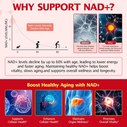 bnHUlMXw NAD Liquid Supplement,1000mg Premium Nicotinamide Riboside & Resveratrol,NAD+ Berry Flavor Drink Mix for Skin Aging Support,Boosts Cellular Energy – NAD Supplements for Men & Women,30 Packs bnHUlMXwBuy Supplements Australia