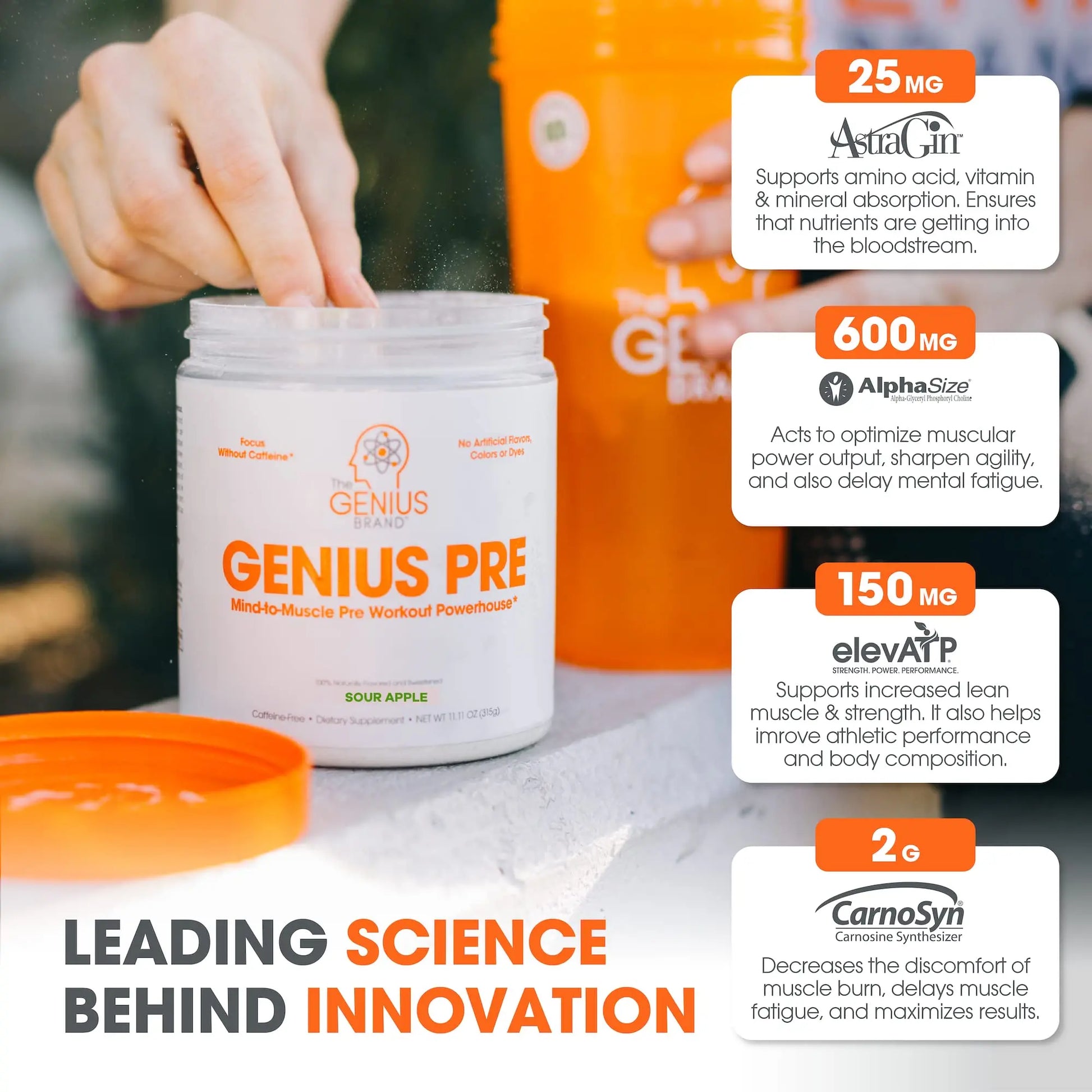 Genius Pre Workout Powder, Sour Apple, and Genius Micronized Creatine Monohydrate The Genius Brand