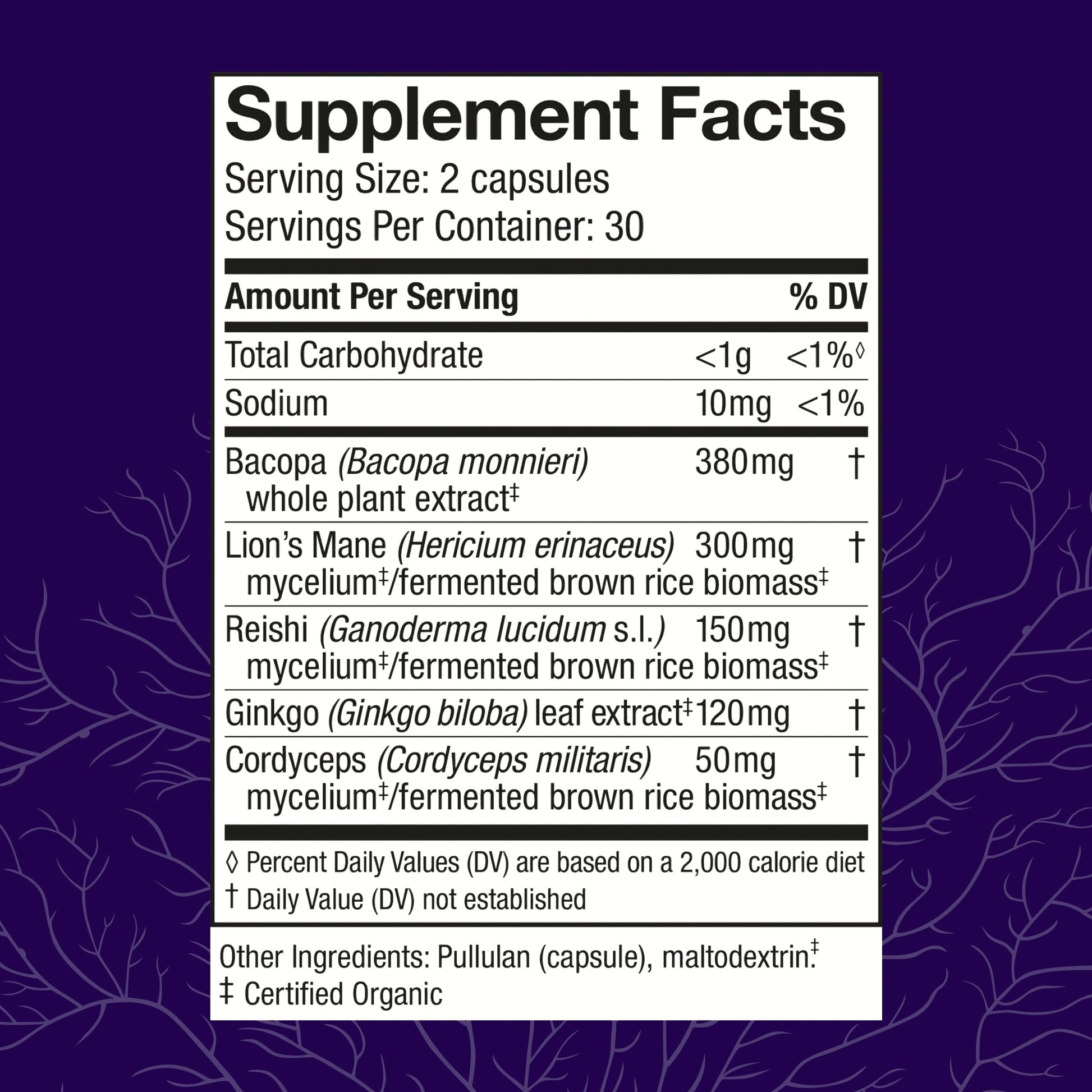 Host Defense MycoBotanicals Brain* Capsules - Brain Support Supplement with Lion's Mane, Reishi & Cordyceps Mushroom - Herbal Supplement for Memory & Focus Support - 60 Capsules Host DefenseBuy Supplements Australia