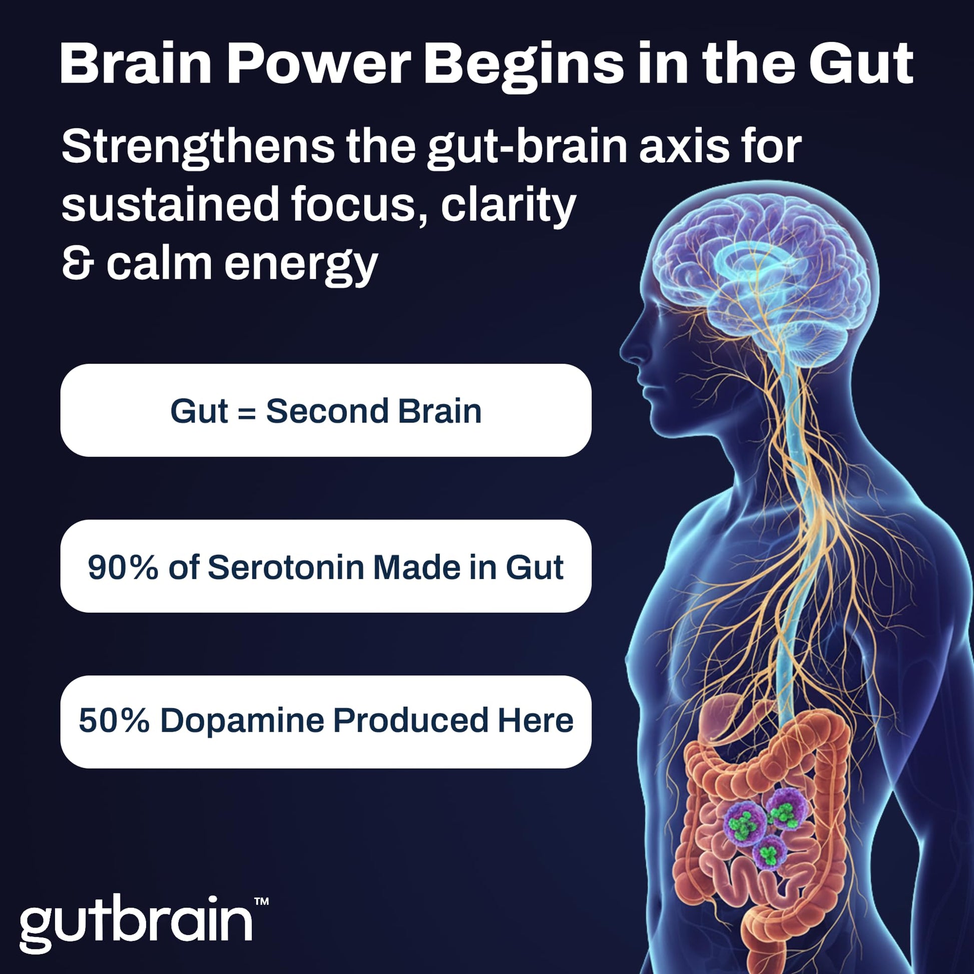 Brain Supplement for Memory and Focus with Probiotics, Advanced 2 in 1 Nootropic Brain Support for Mental Clarity, Caffeine Free Doctor Formulated Supplement, 60 Capsules Purity LabsBuy Supplements Australia