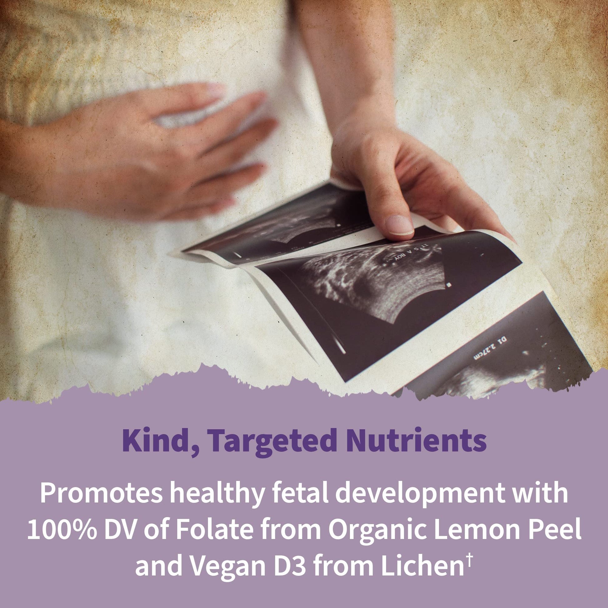 Garden of Life Organics Prenatal Gummies Multivitamin with Vitamin D3, B6, B12 & Organics Men's Garden of Life