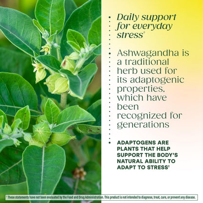 MegaFood Adrenal Strength - Adrenal Support Supplements with Ashwagandha and Magnesium Glycinate, Vitamin C, Holy Basil, Astragalus, Reduces Cortisol Levels - Vegetarian - 60 Tablets (30 Servings) MegaFoodBuy Supplements Australia