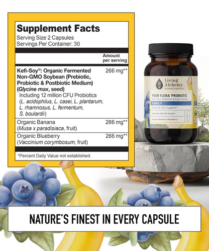 Your Flora Probiotic Family – Non-GMO Probiotics with Fermented Soybean, Banana, & Blueberry for Digestion & Gut Support – Prebiotics, Postbiotics, Digestive Enzymes – Living Alchemy, 60 Capsules Living Alchemy buy supplements Au
