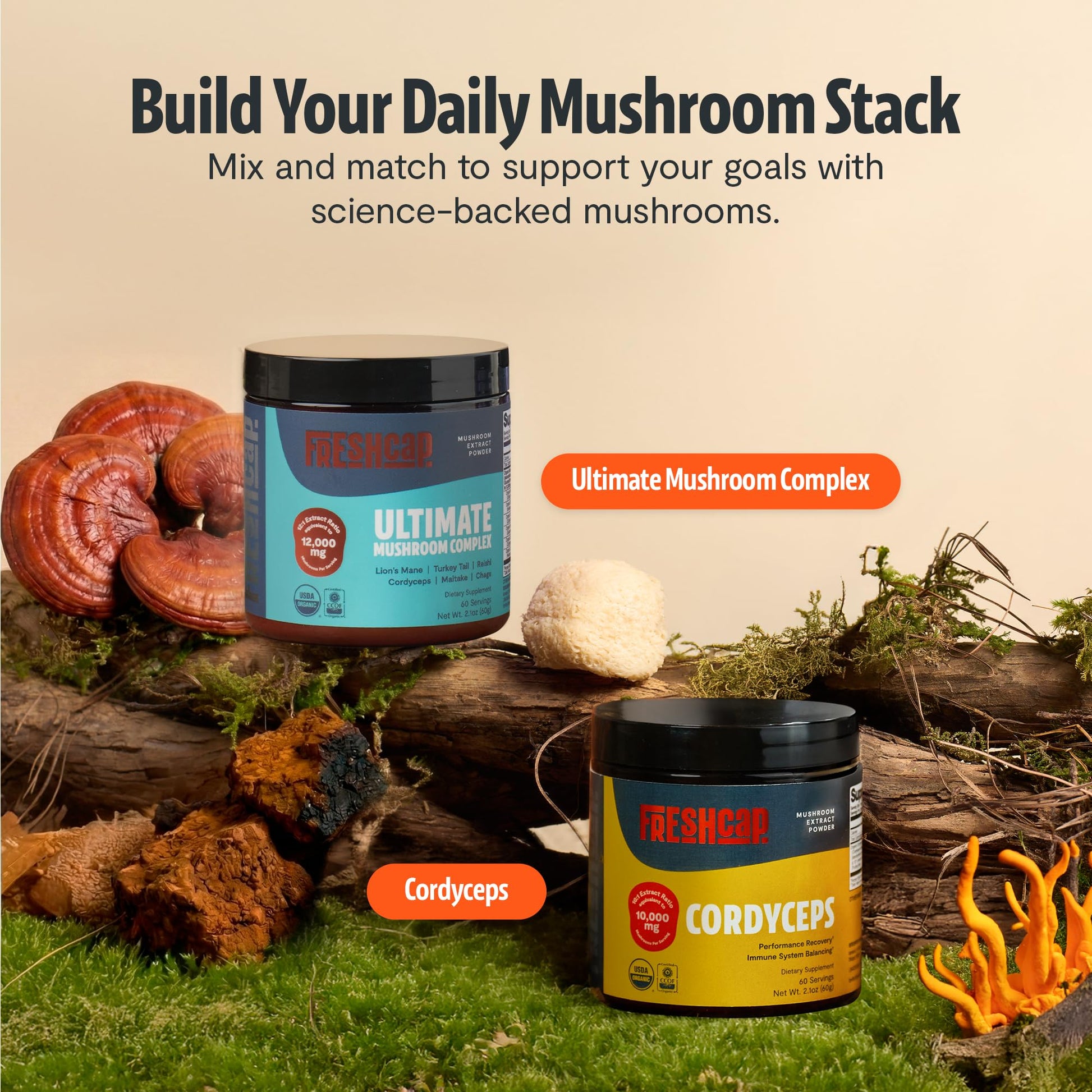 FreshCap Mushrooms Ultimate Mushroom Supplement Powder 12,000mg - Nootropic Organic Mushroom Complex for Focus & Memory, Brain Support Supplement, Ayurveda Mushroom Powder Extract (60 Servings) FreshCap MushroomsBuy Supplements Australia