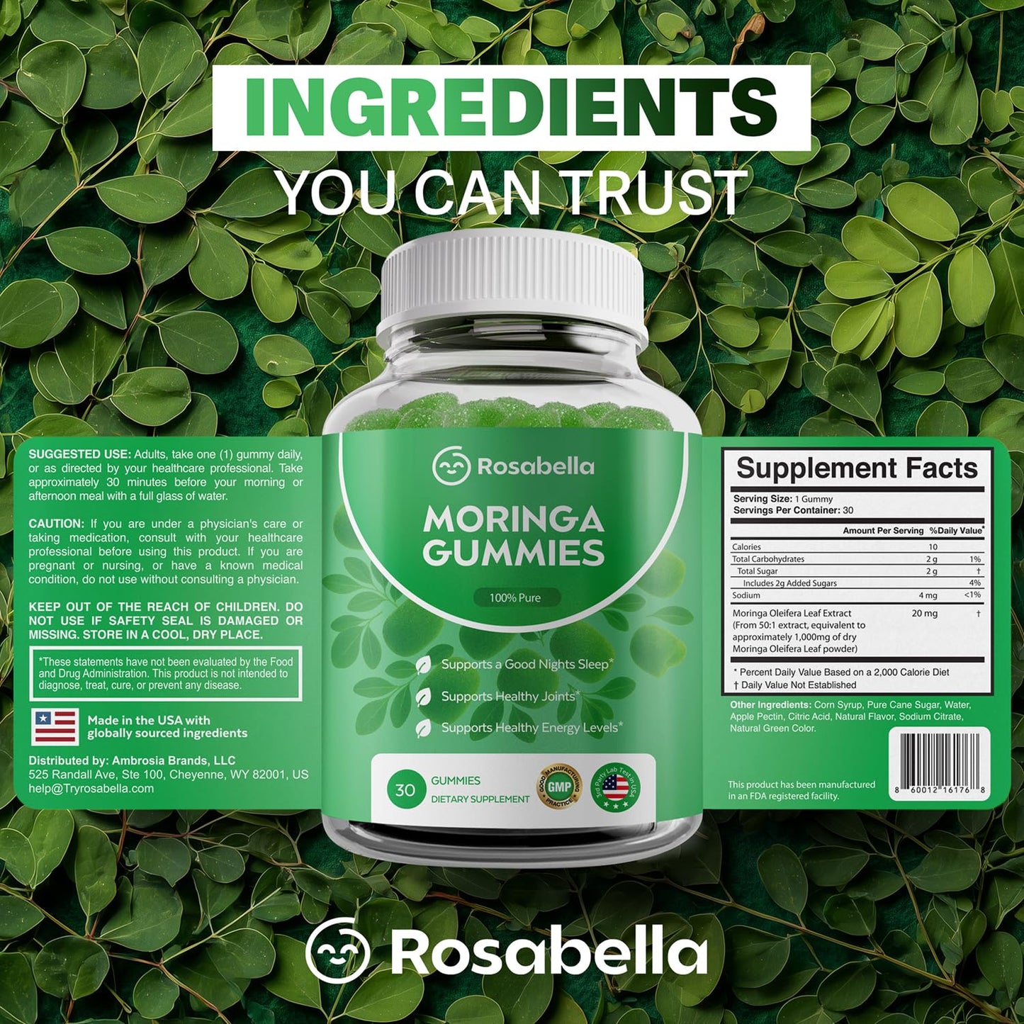 Rosabella Moringa Gummies – Moringa Leaf Extract 1000mg Equivalent Per Serving – Natural Energy & Balance – Non-GMO, Gluten-Free Superfood