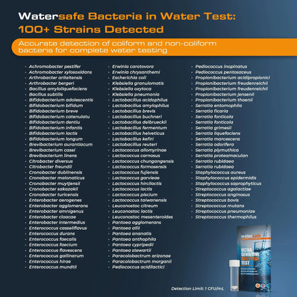 Watersafe® Bacteria Water Test Kit – USA-Made – Results as Fast as 6 Hours – Detects Coliform (Inc. E. coli) & Non-Coliform Bacteria in Drinking, Well & Tap Water – Lab-Quality Testing – 1 Pack WatersafeBuy Supplements Australia