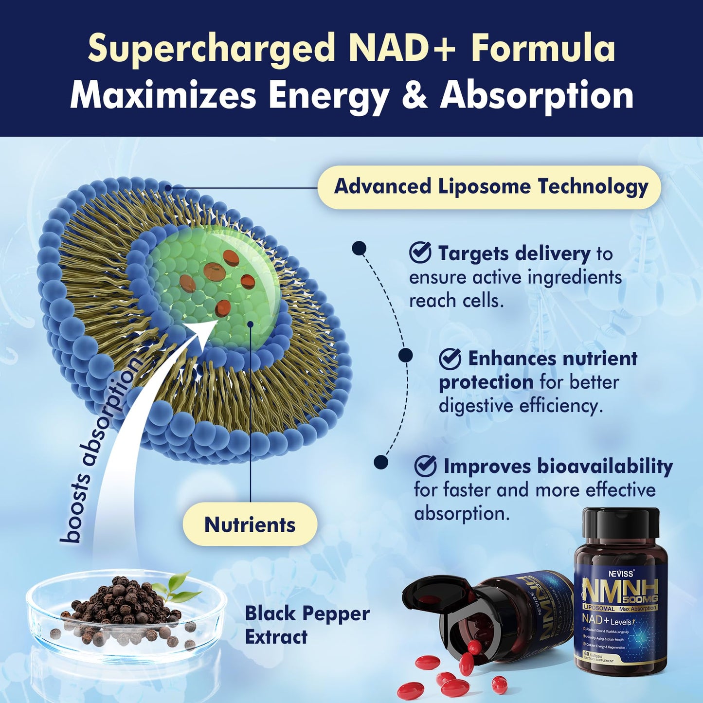 2Pack NAD+ Supplement, Next-Gen NMNH Liposomal 500mg, NR NMN Supplement Alternative, High Absorption NAD+ with Curcumin, Niacinamide for Cellular Energy, DNA Repair, Healthy Aging, 120 Softgels NEVISSBuy Supplements Australia