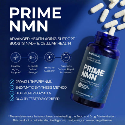 BONE SCIENCE Uthever NMN & Pterostilbene 6-in-1 Complex with Resveratrol, Glutathione & BioPerine - High Purity Stabilized NAD+ Precursor for Healthy Aging & Cellular Energy - 60 Vegetarian Capsules BONE SCIENCEBuy Supplements Australia