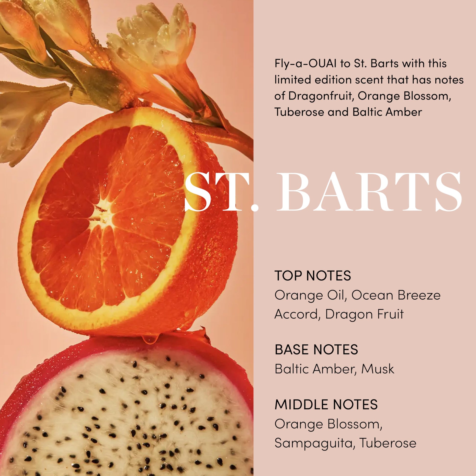 OUAI Body Cream, St. Barts - Hydrating Whipped Body Cream with Cupuaçu Butter, Coconut Oil and Squalane - Softens Skin and Delivers Healthy-Looking Glow - Sulfate-Free Skin Care (7.5 Oz) OUAIBuy Supplements Australia