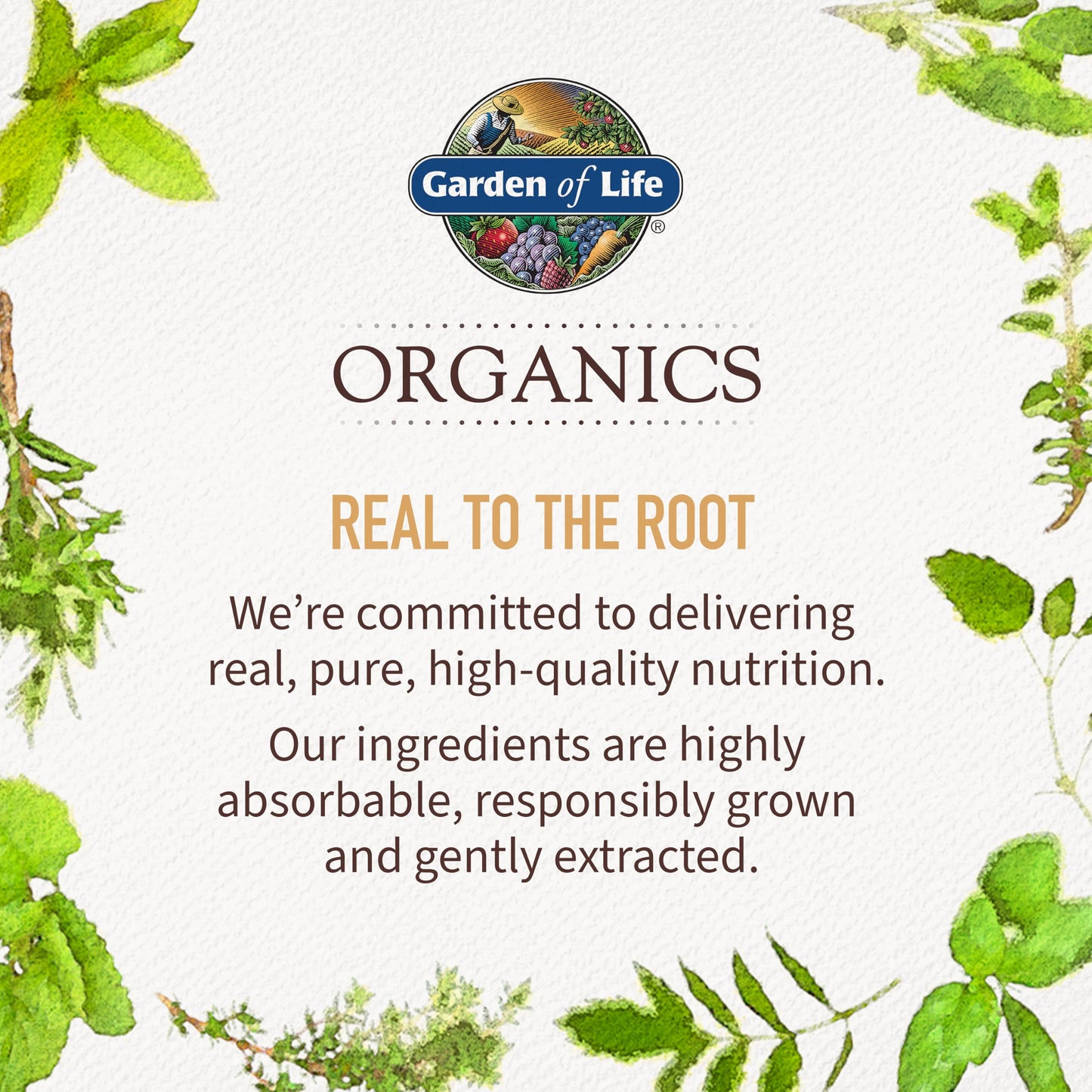Garden of Life Organics Adrenal Daily Balance, Adaptogenic Herbs Ashwagandha, Holy Basil, B Complex & Probiotics, Organic Non-GMO, Vegan, Gluten Free Supplement, Two Month Supply, 120 Tablets Garden of LifeBuy Supplements Australia