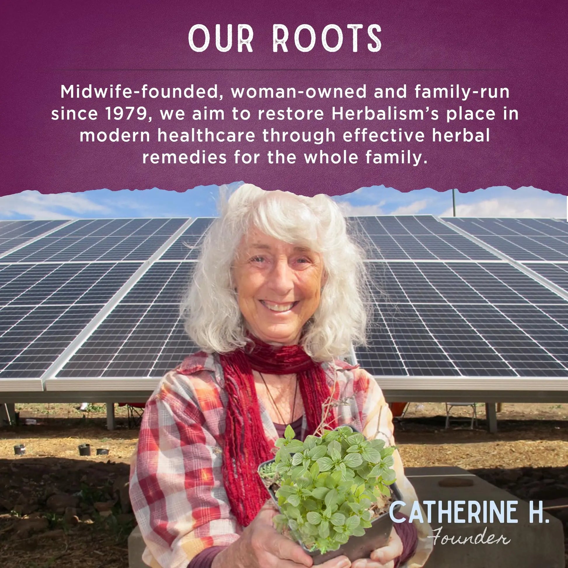 WishGarden Herbs Deep Lung & Bronchial Support - Natural Lung Support Supplement WishGarden