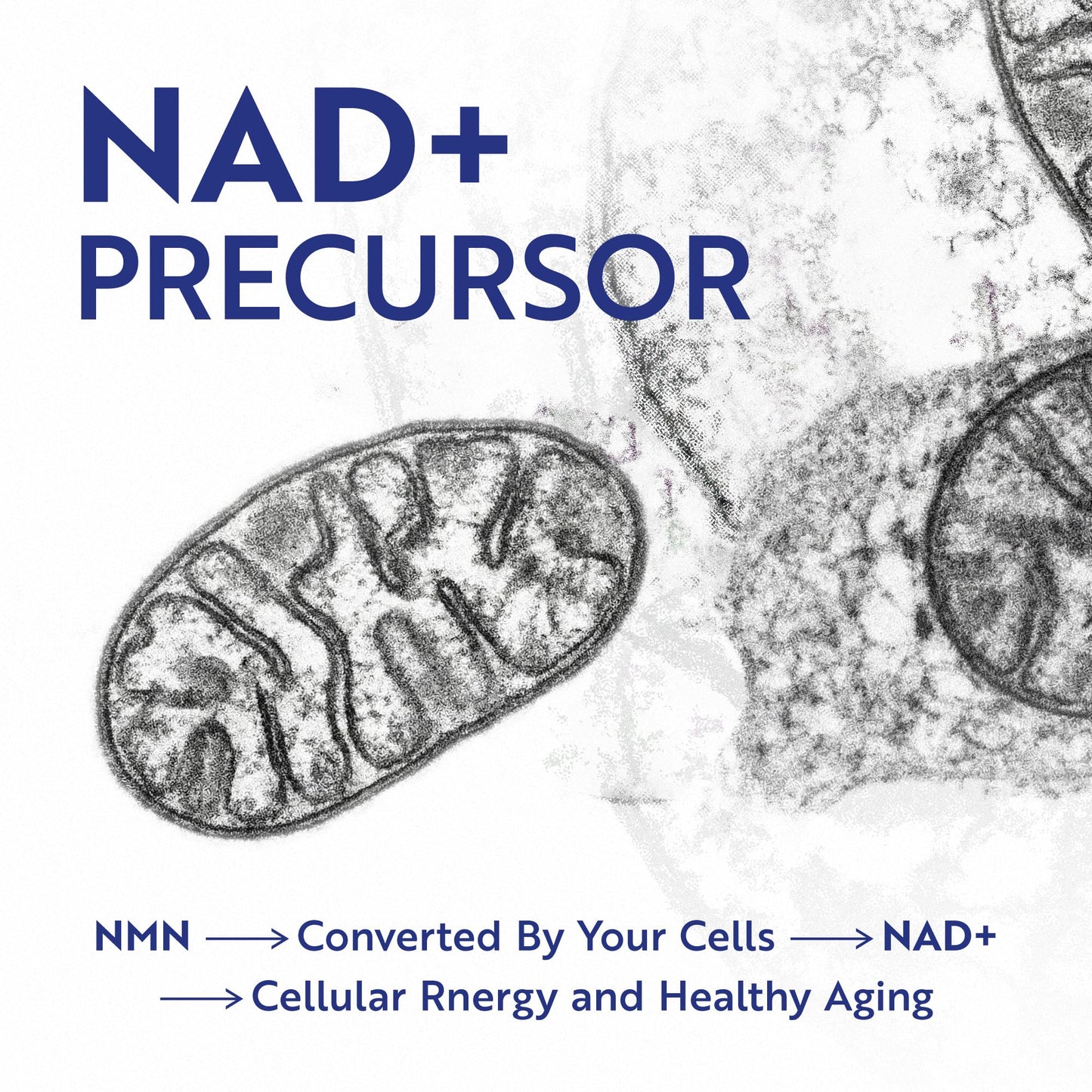 NMN Supplement 500mg | 99% Pure | NAD+ Precursor for Cellular Energy, Longevity, Repair, and Healthy Aging Support | Third-Party Tested & Non-GMO | Nicotinamide Mononucleotide | 60 NMN Capsules Nobi NutritionBuy Supplements Australia
