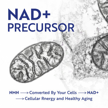 NMN Supplement 500mg | 99% Pure | NAD+ Precursor for Cellular Energy, Longevity, Repair, and Healthy Aging Support | Third-Party Tested & Non-GMO | Nicotinamide Mononucleotide | 60 NMN Capsules Nobi NutritionBuy Supplements Australia