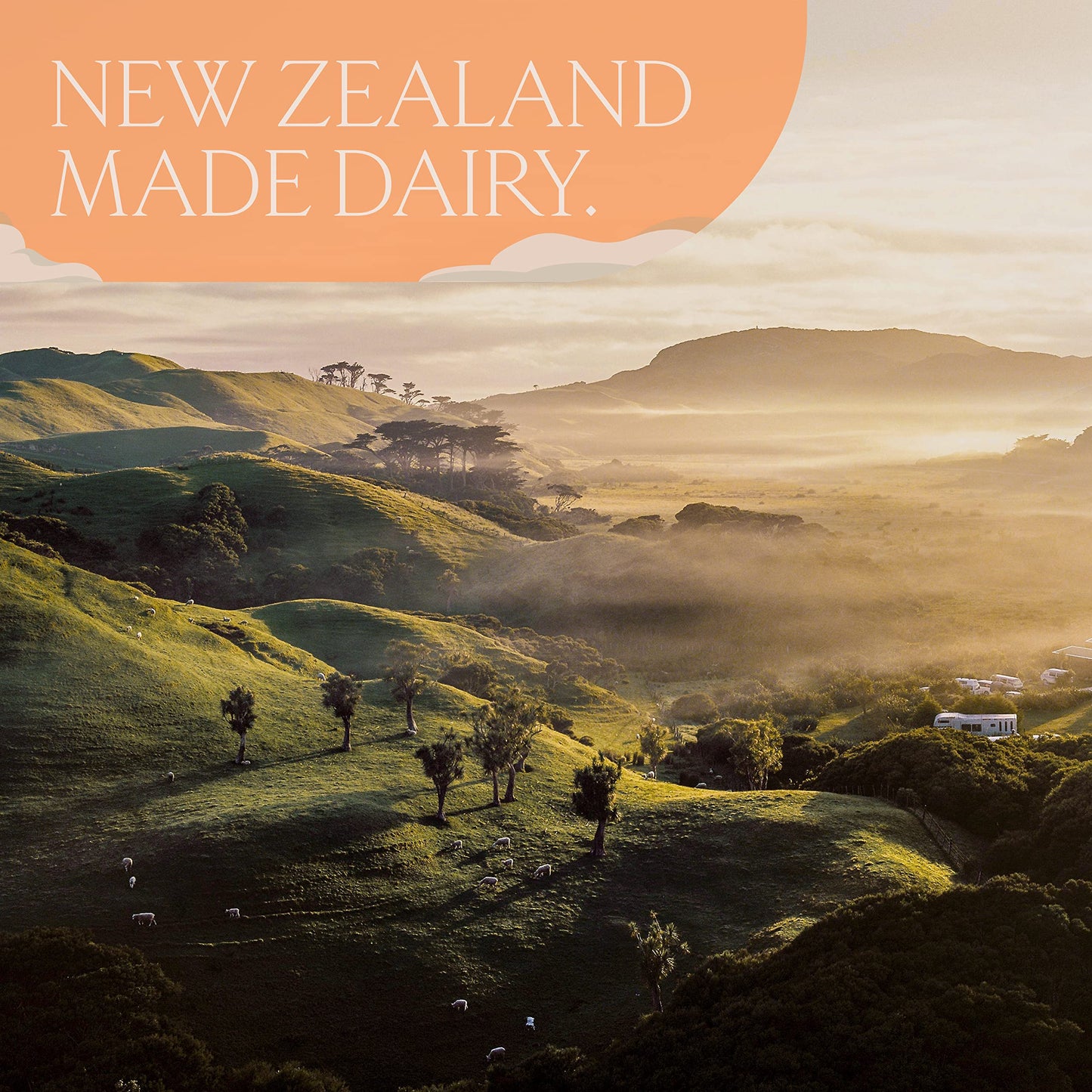 LUV&LIFE Prenatal Vitamin Supplement Powder Vanilla Flavored Contains Protein and Fiber LUV&LIFE