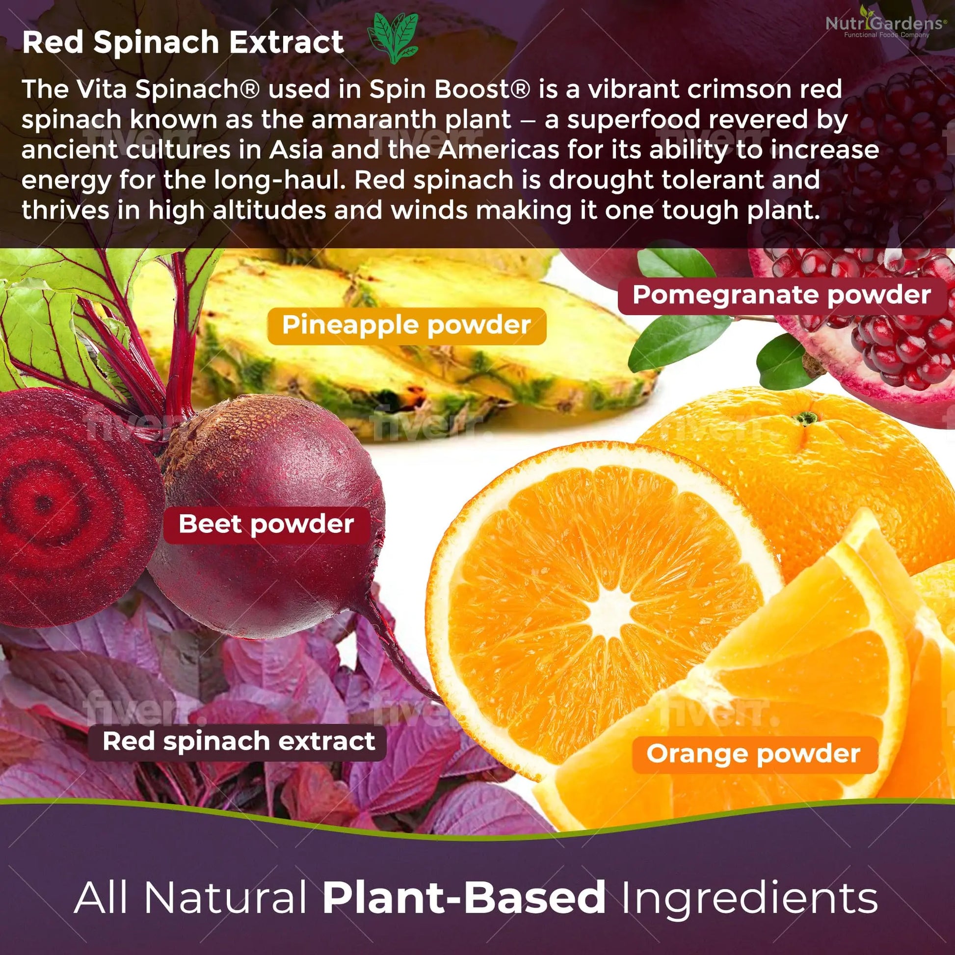 Nutrigardens Spin Boost Nitric Oxide Red Spinach Nitrate Pre-Workout Powder Concentrated Nutrigardens