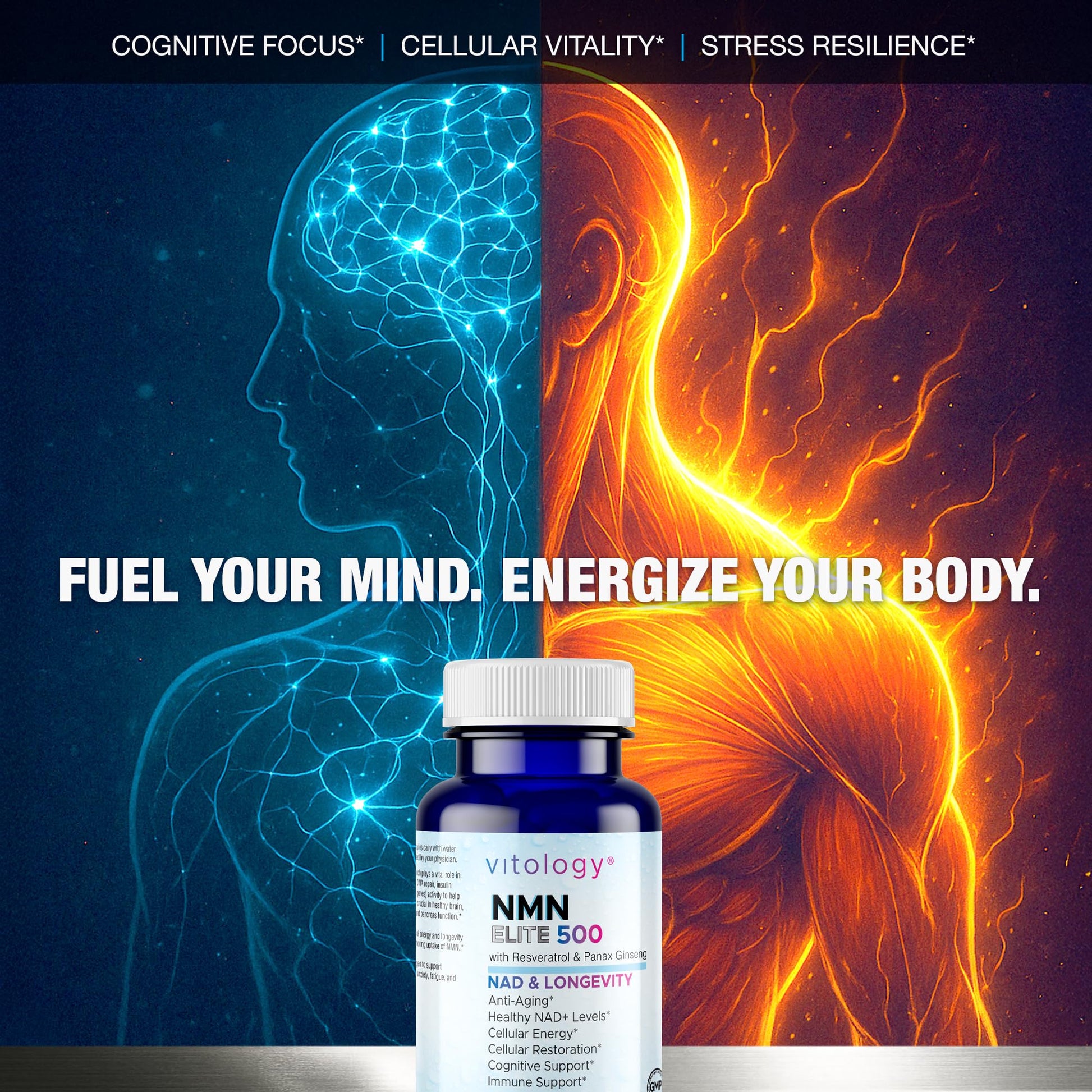 Vitology NMN Elite 500 – NMN 500mg, Resveratrol 200mg, Panax Ginseng 300mg – NAD+ Cellular Energy & Longevity Support Supplement – Focus, Vitality & Anti-Aging Formula – Non-GMO, Vegan Capsules VitologyBuy Supplements Australia