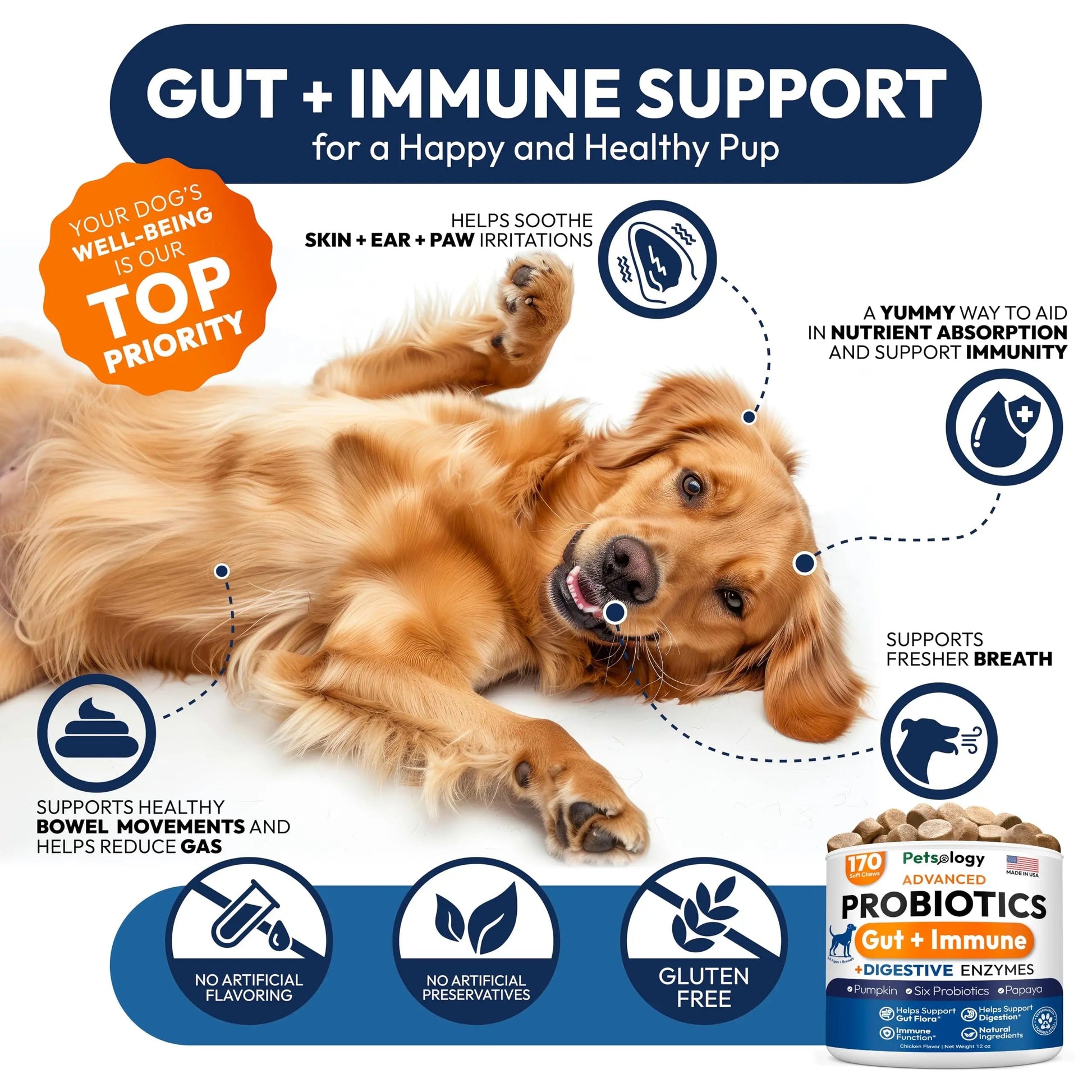 Probiotics for Dogs - 170 Dog Probiotics Chews - Digestive Enzymes & Prebiotics - Support Gut Health, Diarrhea, Gas & Constipation Relief - Itchy Skin, Allergies, Yeast Balance - Advanced Supplement Petsology buy supplements Au